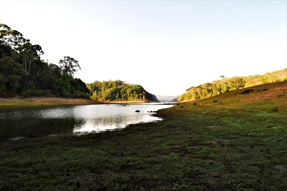Kerala Periyar Wildlife sanctuary.