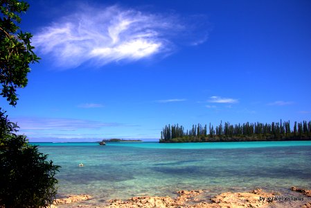 Landscape by the sea IMG_2402