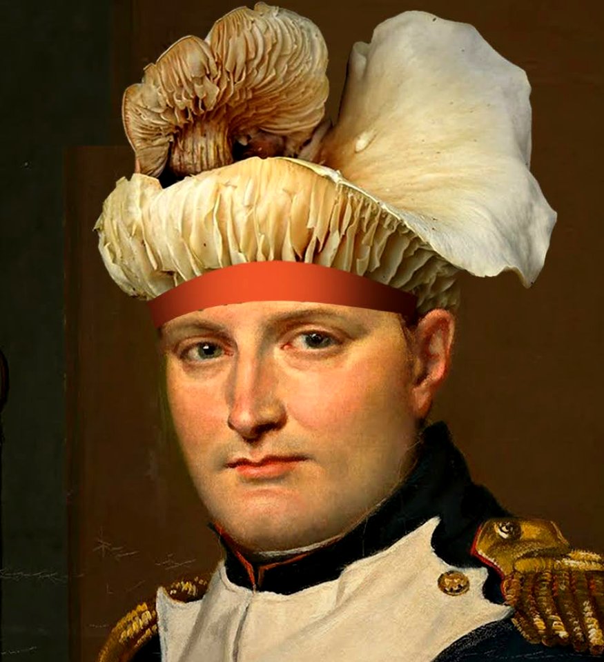 The new wave of the emperor