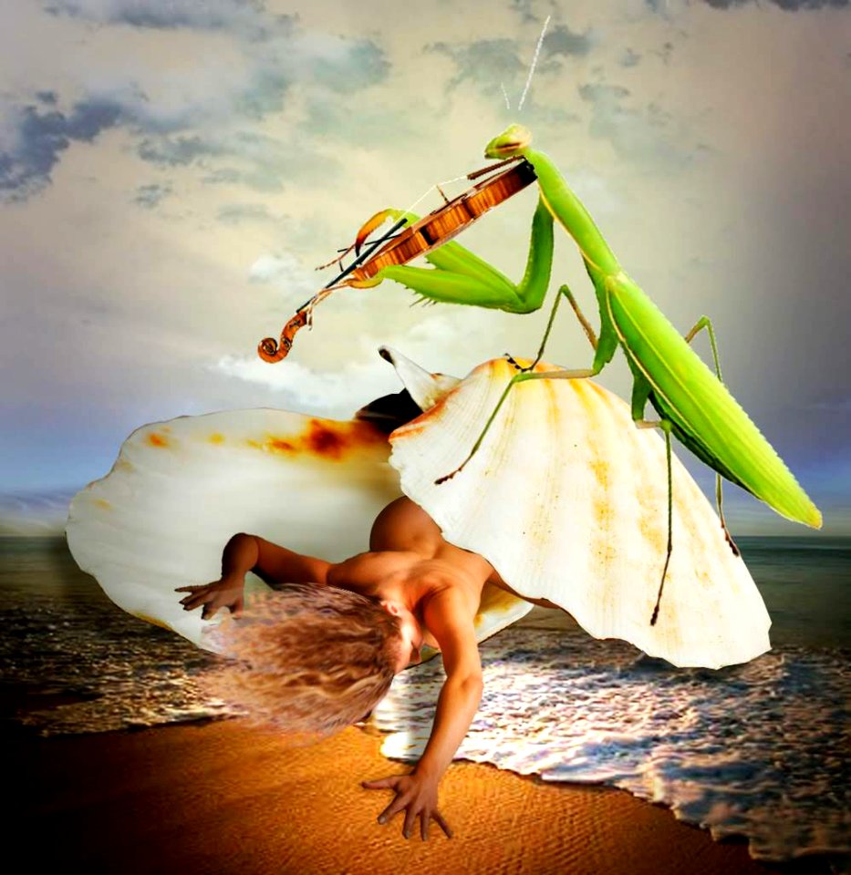 A violin solo for Venus