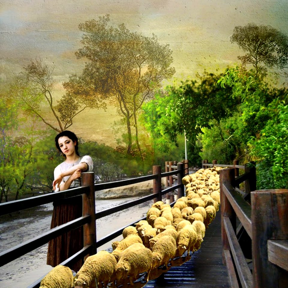 Shepherdess photo