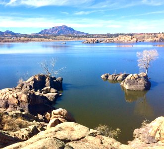Willow Lake solitude