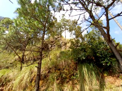 SEIARN_SEIF_HUITZILAC_IMG_20201027_143715