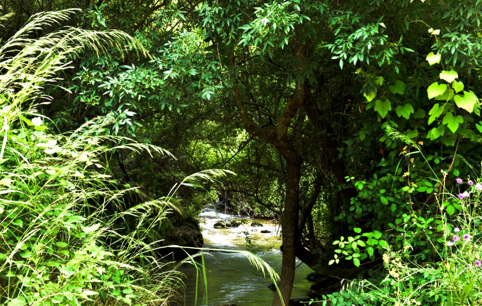 Río Majaceite. Benamahoma (Cádiz).