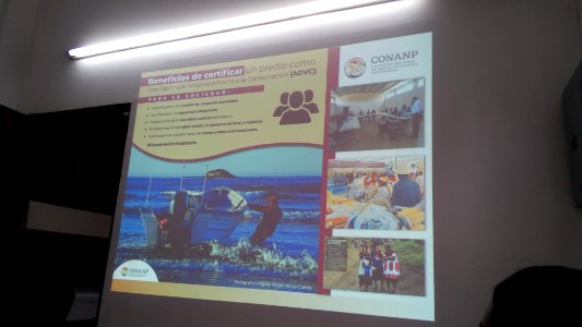 SEIARN_DIRECCIÓN DE SISTEMAS DE INFORMACIÓN AMBIENTAL_FERNANO VALDEZ_CALDERÓN_IMG_20190626_103846