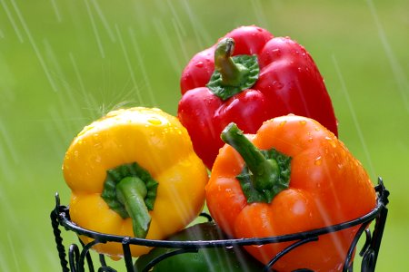 Wet Peppers