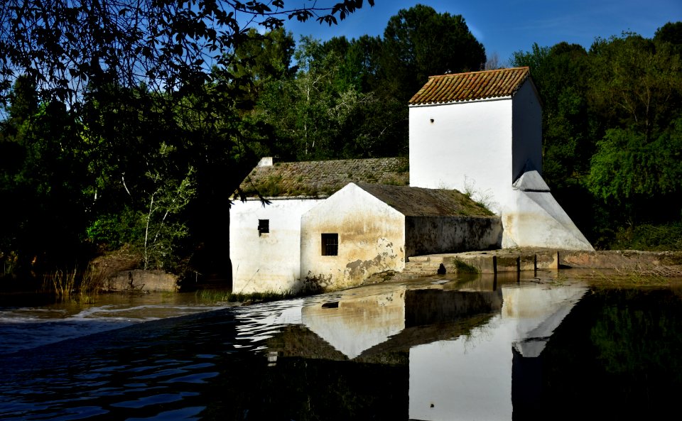 Río Guadaíra. Alcalá de Guadaíra (Sevilla).
