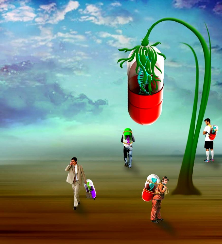 The capsule tree