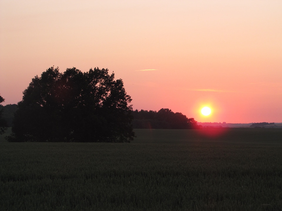 Rest evening red