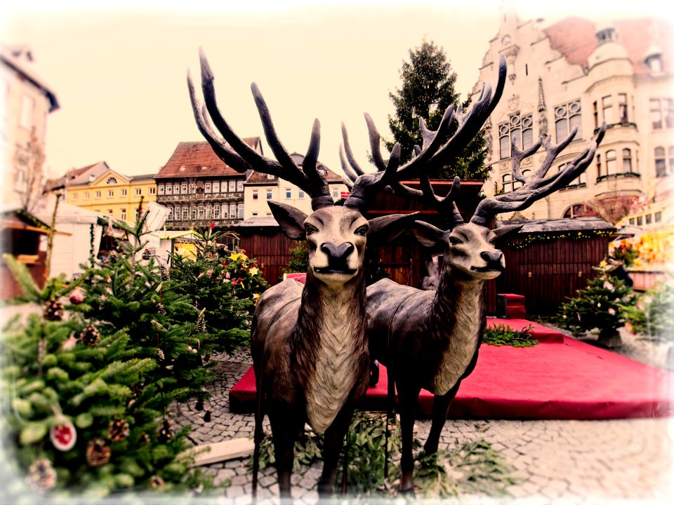 Christmas Market - HSS