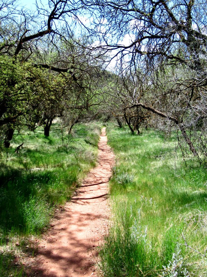 Parsons Trail in Sycamore Canyon near Clarkdale, AZ