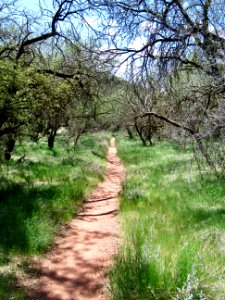 Parsons Trail in Sycamore Canyon near Clarkdale, AZ