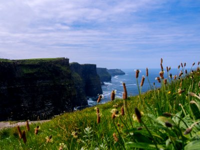 Cliffs of Moher photo