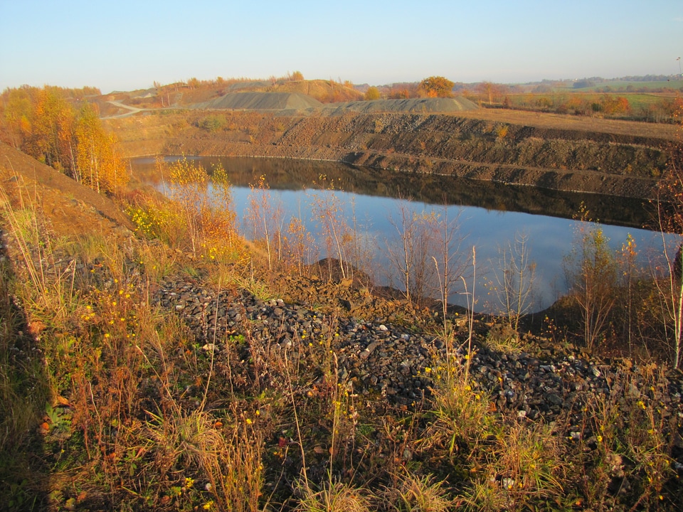 Brown landscape golden autumn