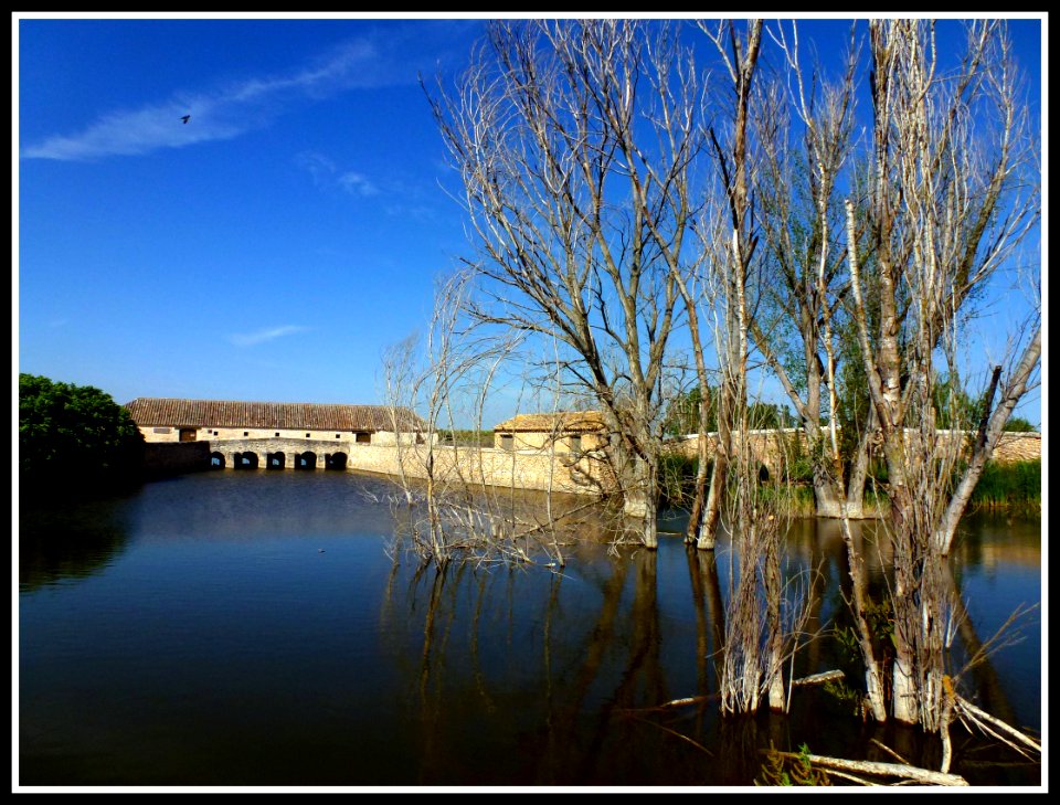 TABLAS DE DAIMIEL, (CIUDAD REAL). SPAIN.
