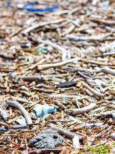 Marine debris, largely composed of plastic, intermingles with organic material that has washed up on Midway photo