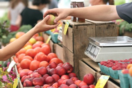 farmer's market apples photo