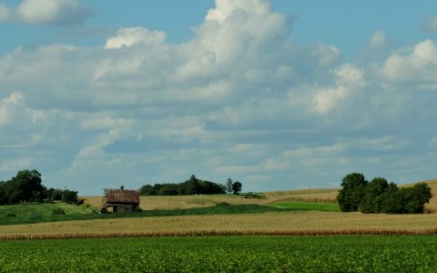 Fine Farm Photography at 55mph! photo