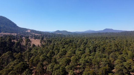 SEIARN_SEIF_HUITZILAC_COAJOMULCO_0040