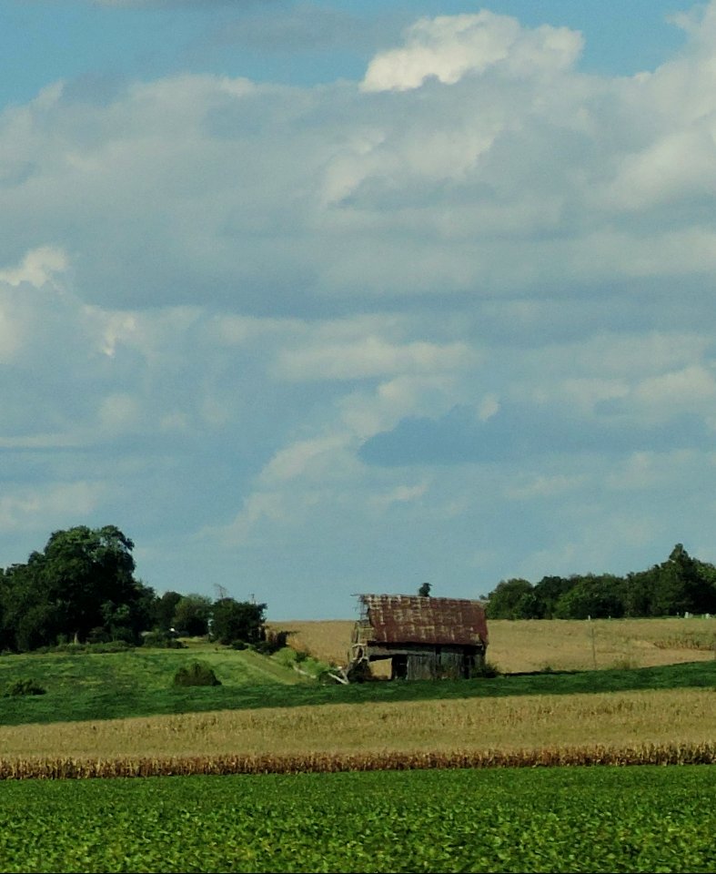 Rustic Barn
