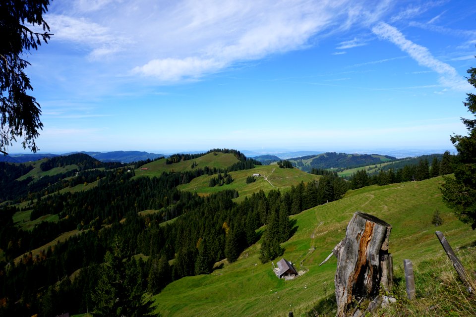 Unterhalb Chli Aubrig (Kanton Schwyz). Büelhöchi.
