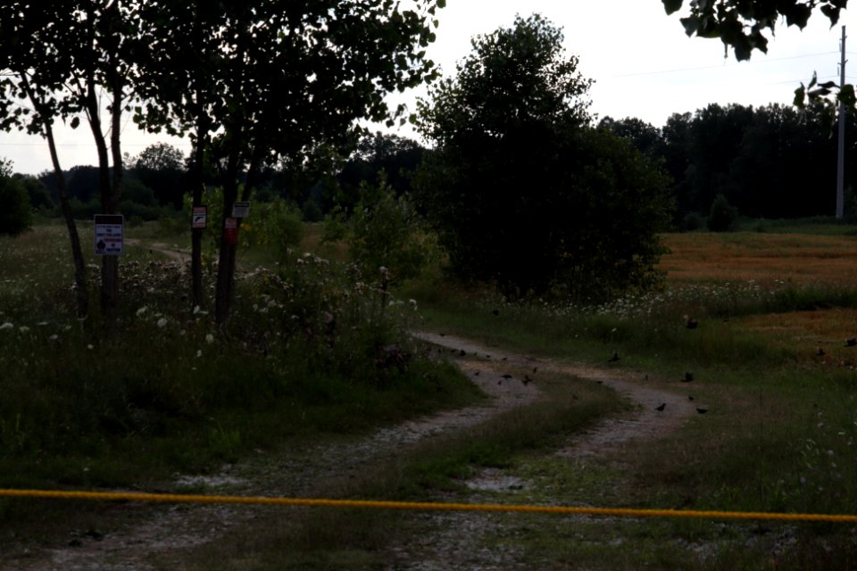 the path ahead is (locked)