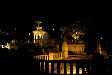 Night garden