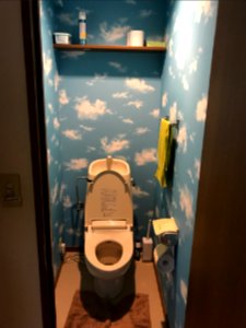 Amusing Toilet Room
