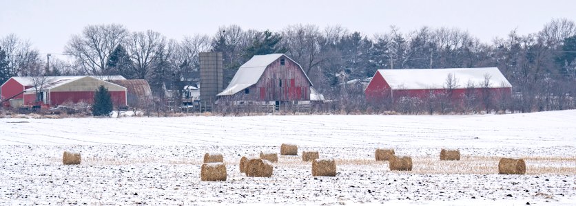 Illinois Winter at the farm photo