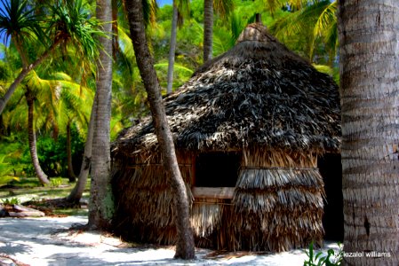 Tribal Hut IMG_2640-001