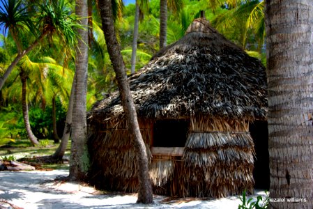 Tribal Hut IMG_2640-001 photo