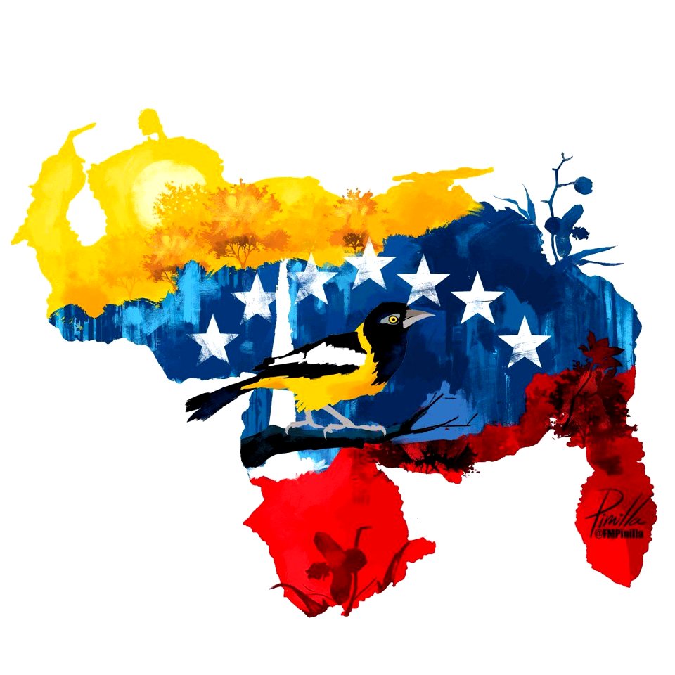 Juan Castillo Bozo-43