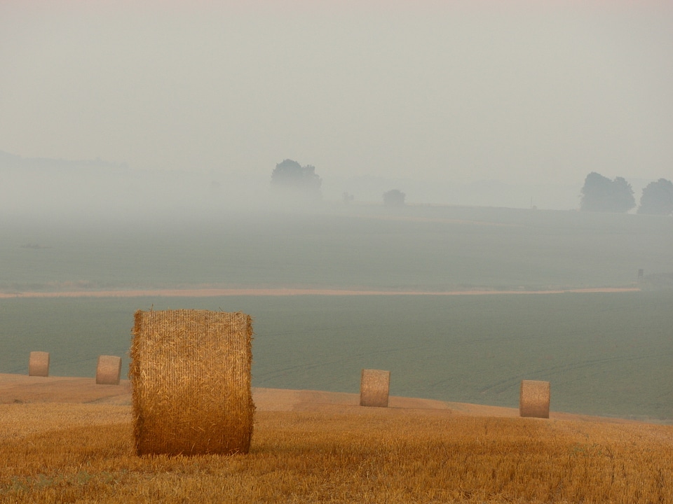 Field agriculture farm