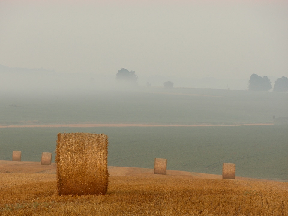 Field agriculture farm photo