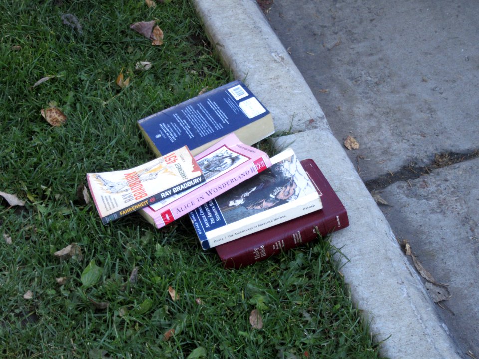 Aspen Park Book Pile