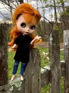 Walking along the Riding Trails