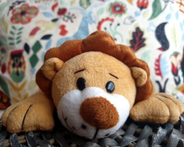 #30díasy30fotos Día 6 - Recuerdo de la infancia ( Color )