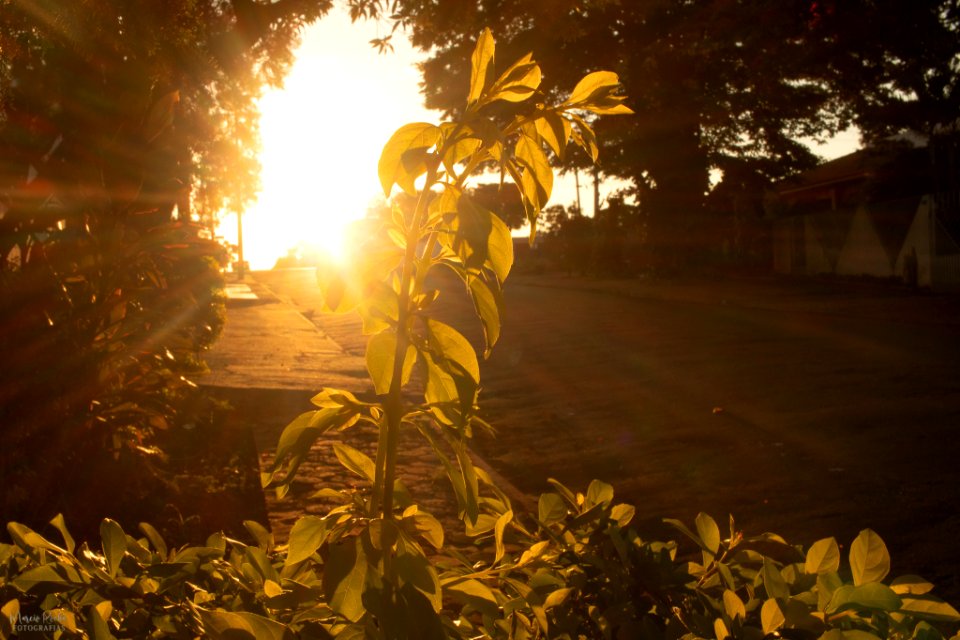 Fotos de inspiração