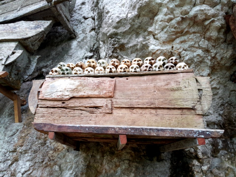 Sarg mit Schädeln