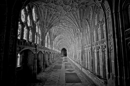 Gloucester Cathedral Cloister photo
