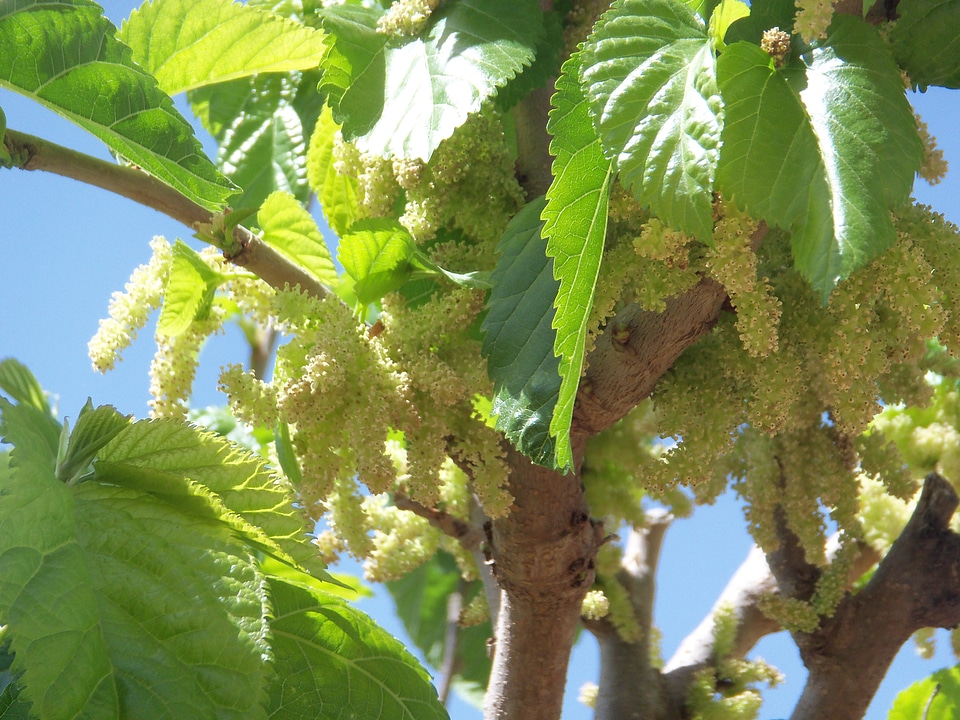 Organic agriculture outdoors