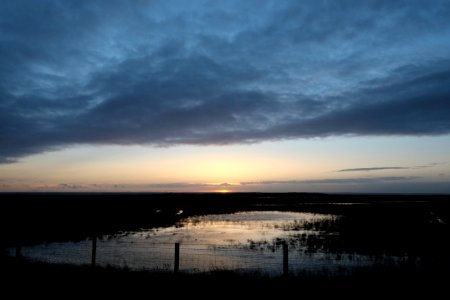 Shellness, Kent