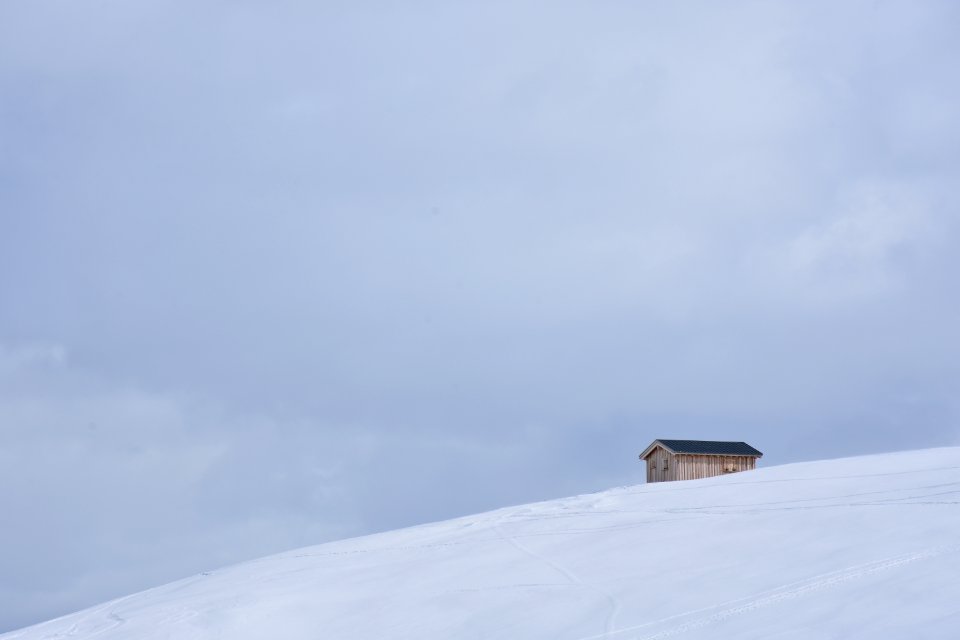 Lonely snow