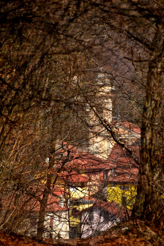 The village that emerges from the woods