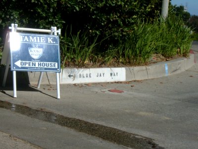Blue Jay Way Painted Curb (because Beatles fans steal the signs)