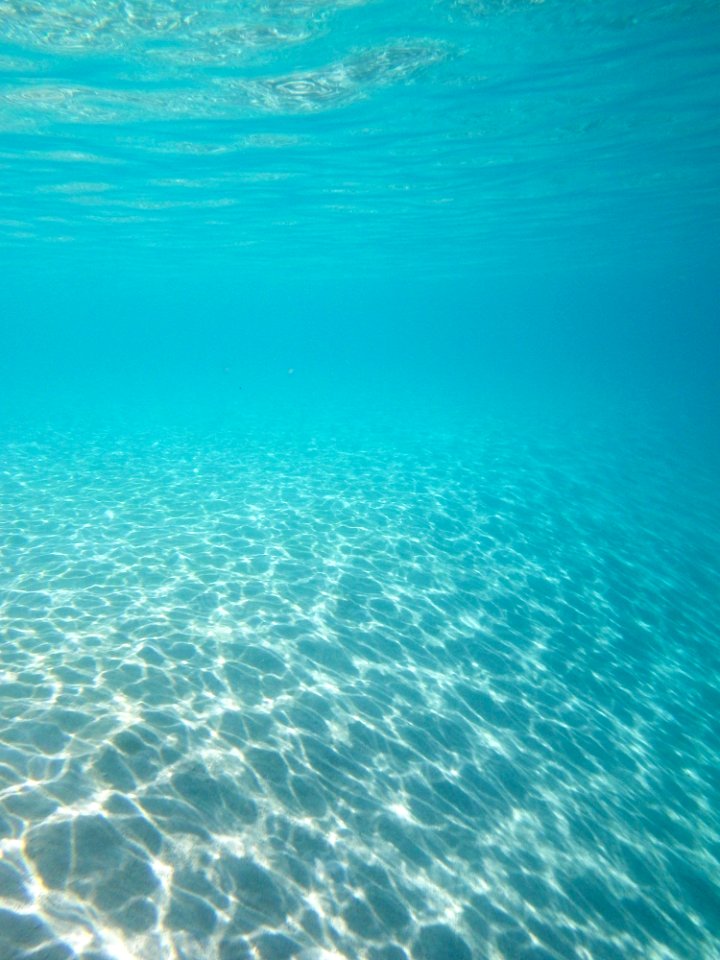 Beautiful blue water in Midway's lagoon