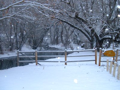 Spring Creek, December