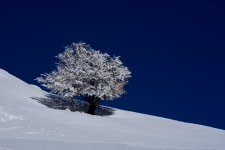 Winter in the blue