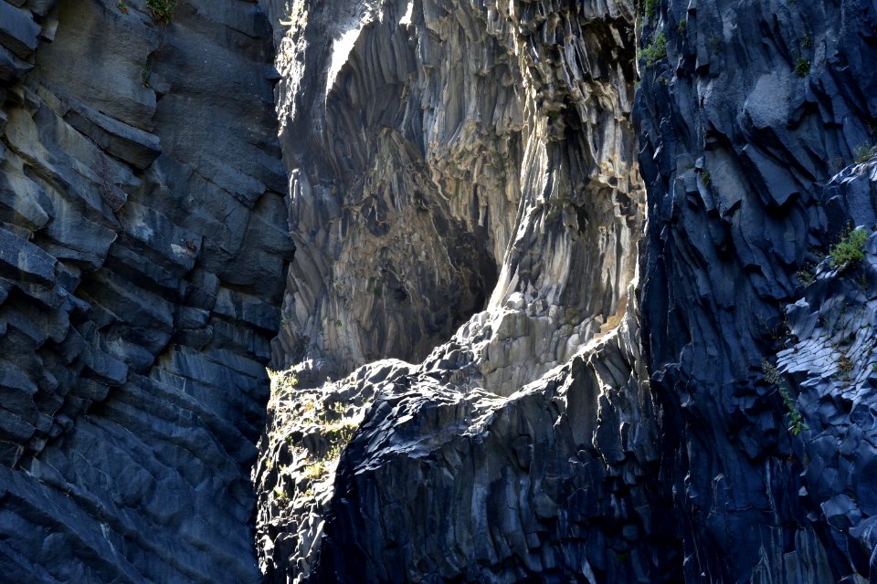 Reflexes
