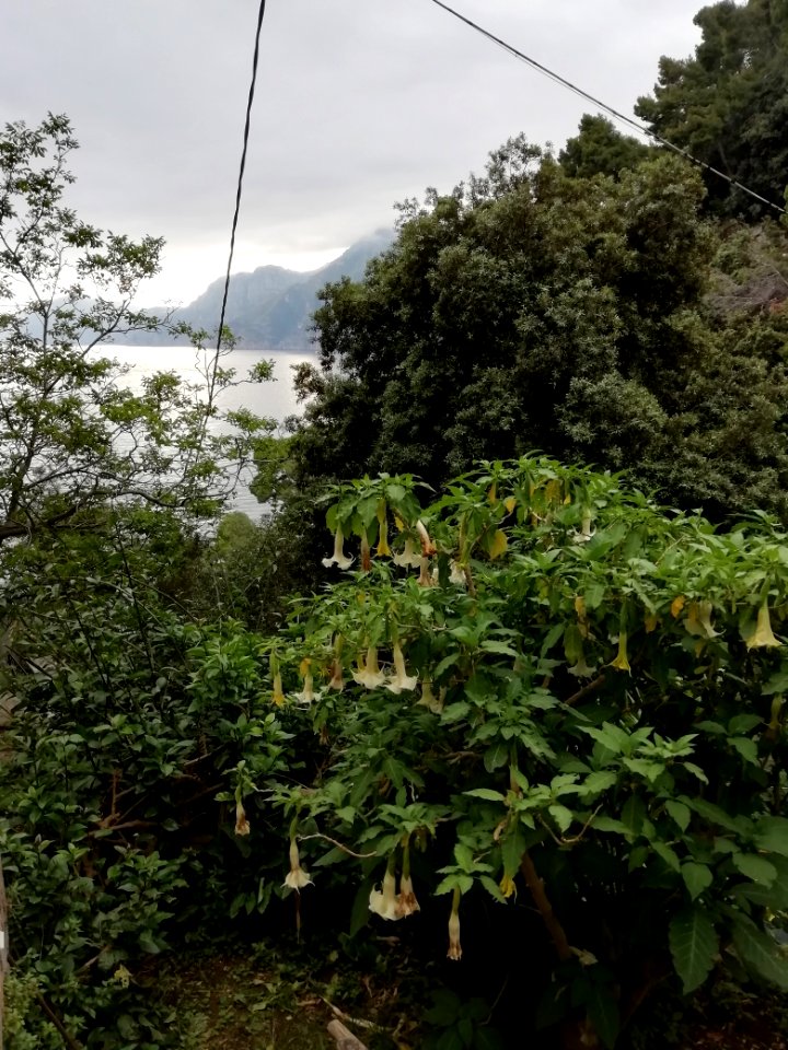 IMG_20190604_180142